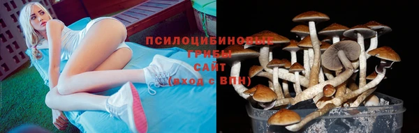 гашиш Белокуриха