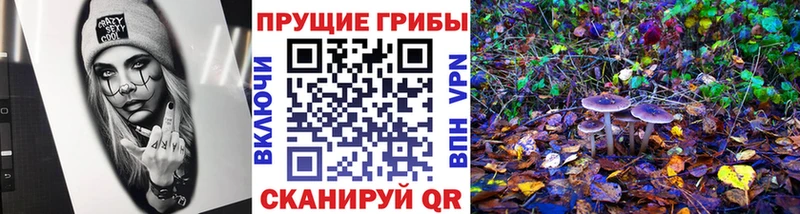 Галлюциногенные грибы GOLDEN TEACHER  купить наркотики сайты  Острогожск 