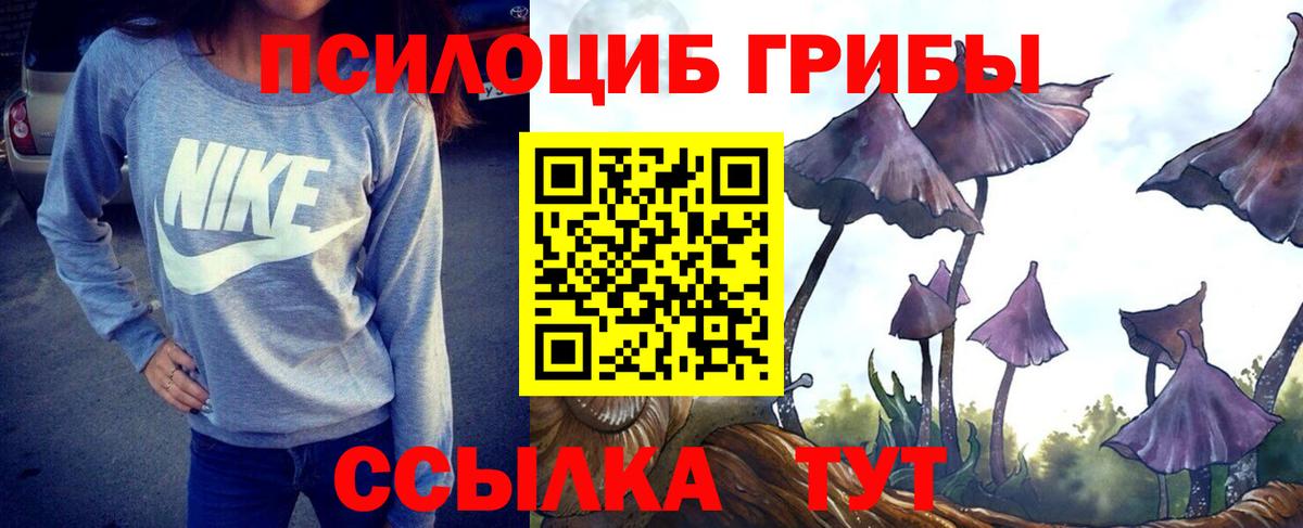 Острогожск  Галлюциногенные грибы мицелий  Вход с VPN  Галлюциногенные грибы мицелий 